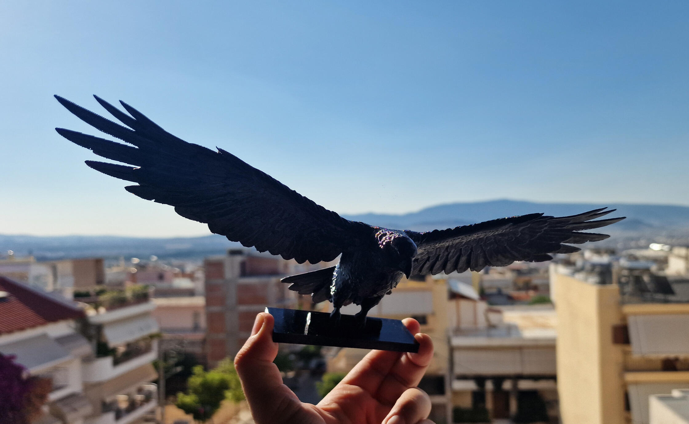 Αετός απωθητικό πουλιών